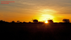 Sonnenuntergang Kalahari